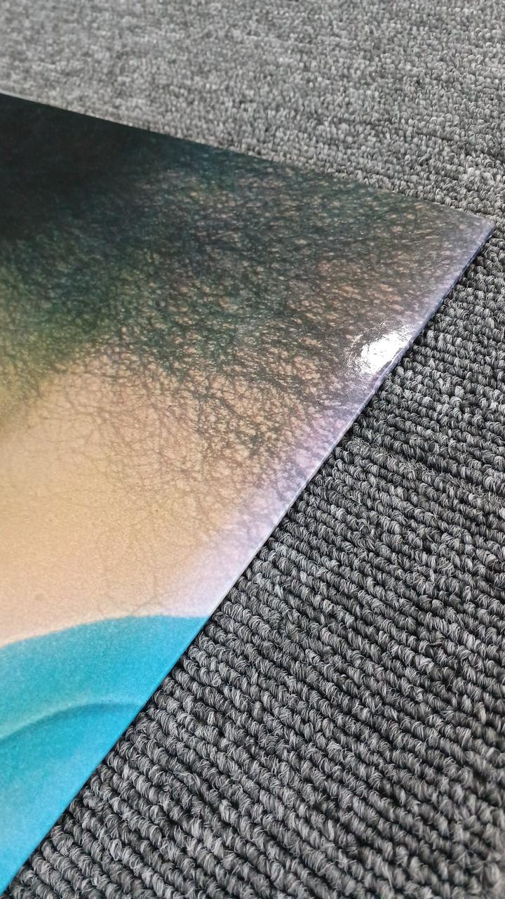 下部に色褪せあり