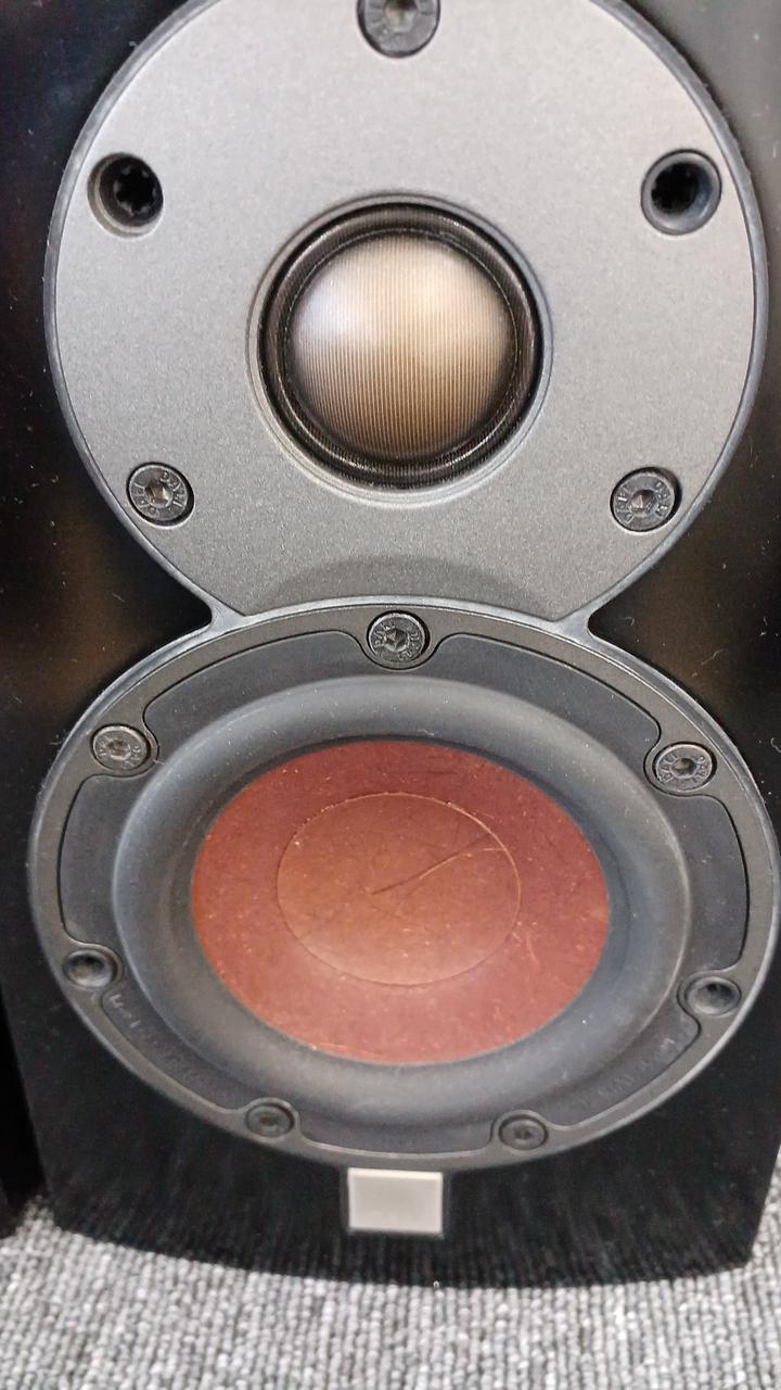 DALI|スピーカー(ペア)|【ハードオフ公式通販】オフモール