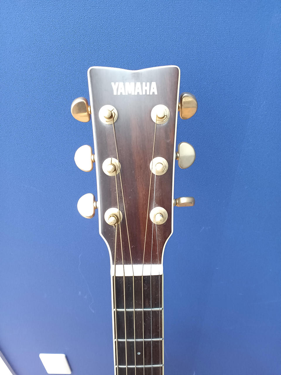 ヤマハ(YAMAHA)|アコースティックギター|HARDOFFオフモール