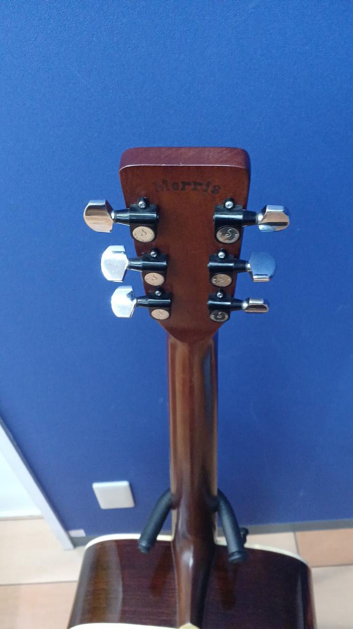 PERFORMERS EDITION | MORRIS GUITARS モーリスギター