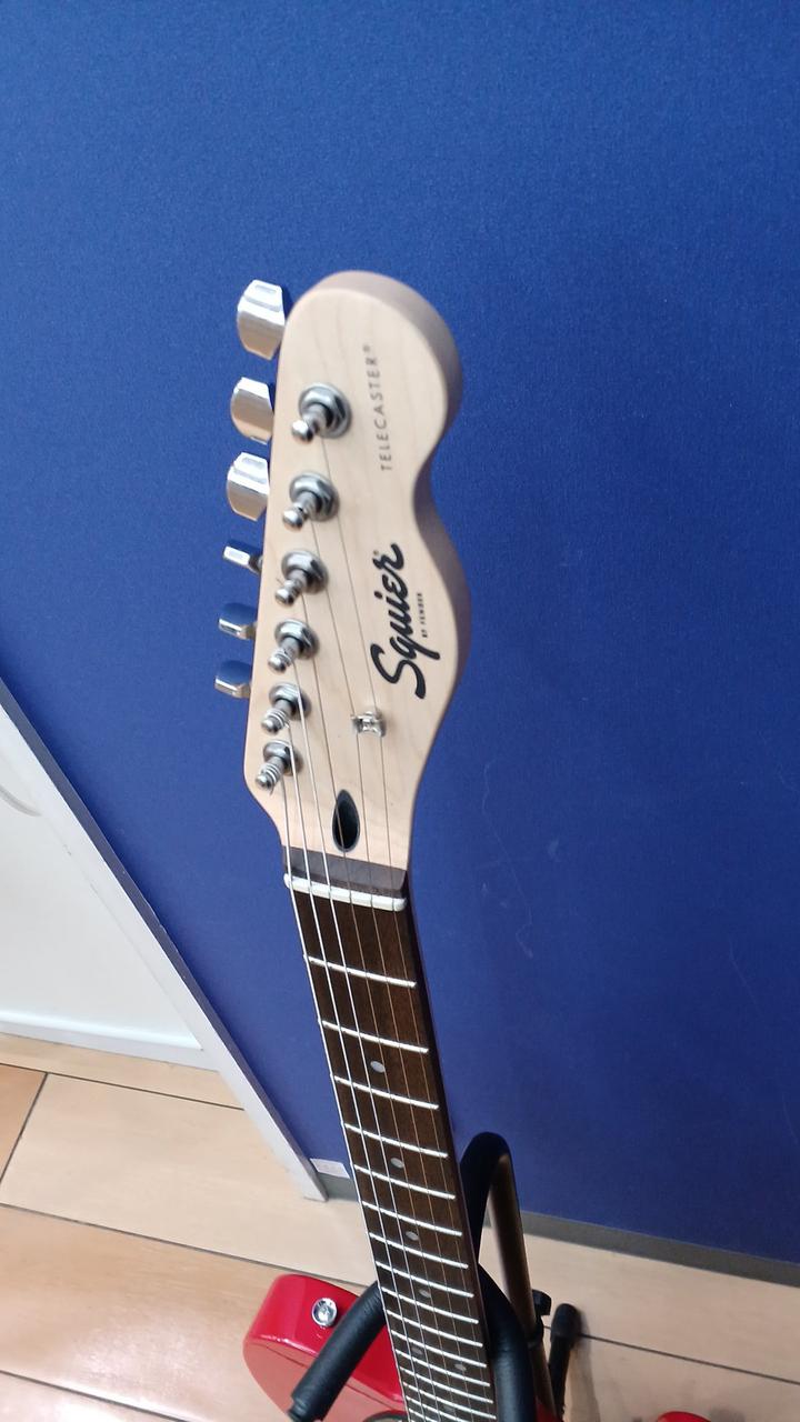 SQUIER|テレキャスタータイプ|HARDOFFオフモール（オフモ