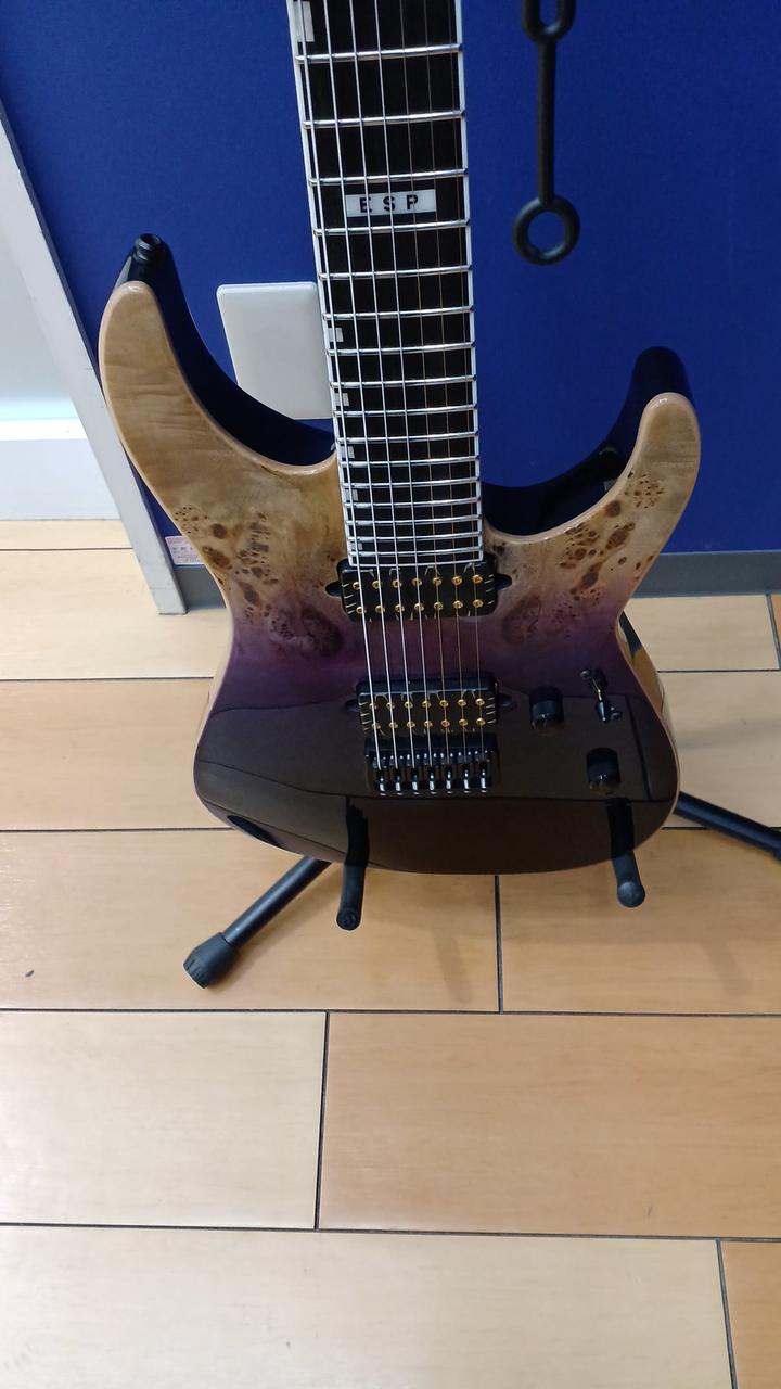 ESP ストラトキャスタータイプ ESP|ストラトキャスタータイプ|HARDOFFオフモール（オフモ