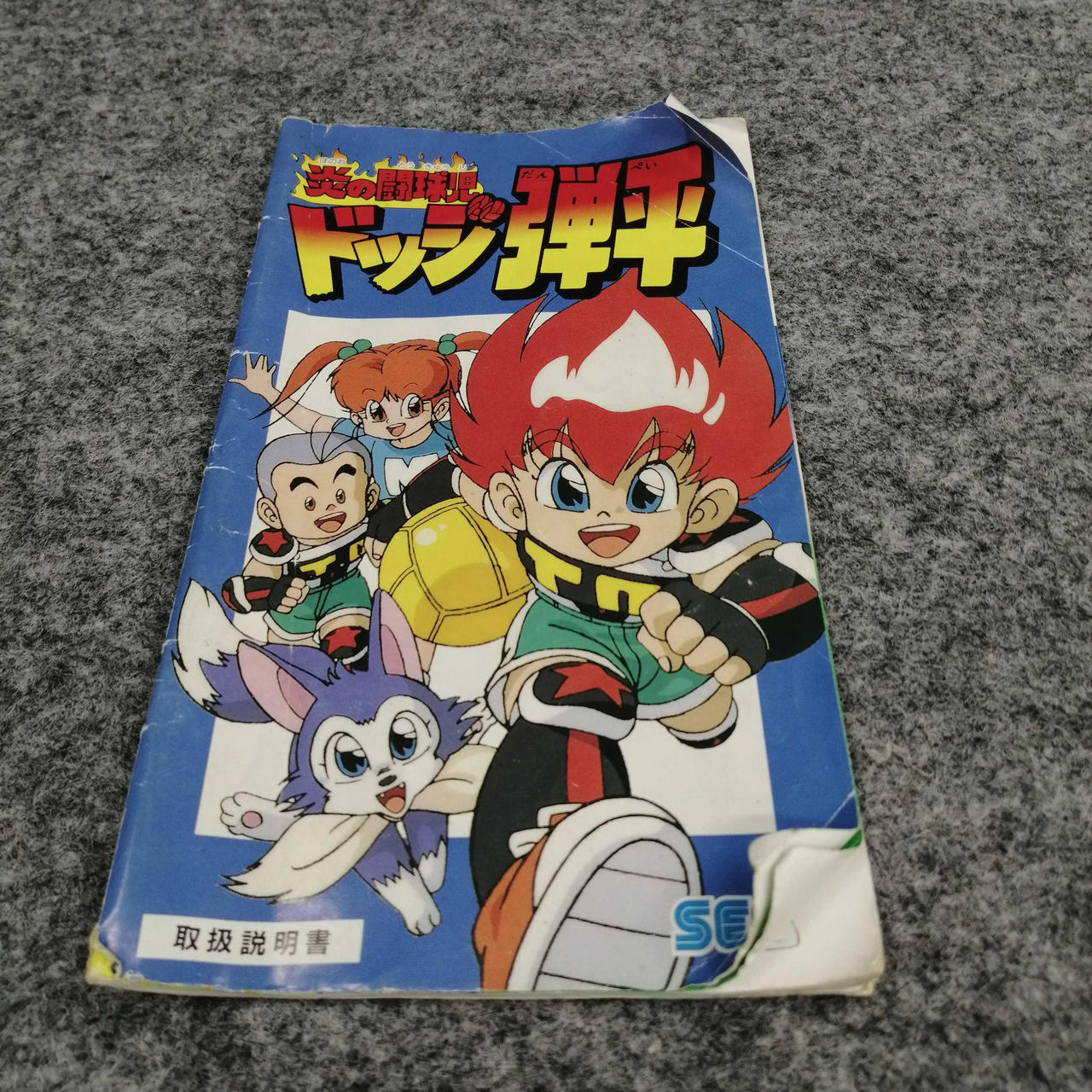 説明書折れ曲がり等傷みあり