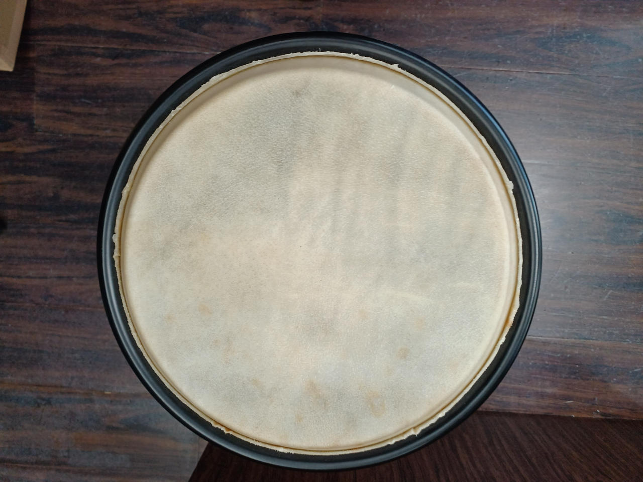 店頭受取限定】コンガ|HARDOFFオフモール（オフモ