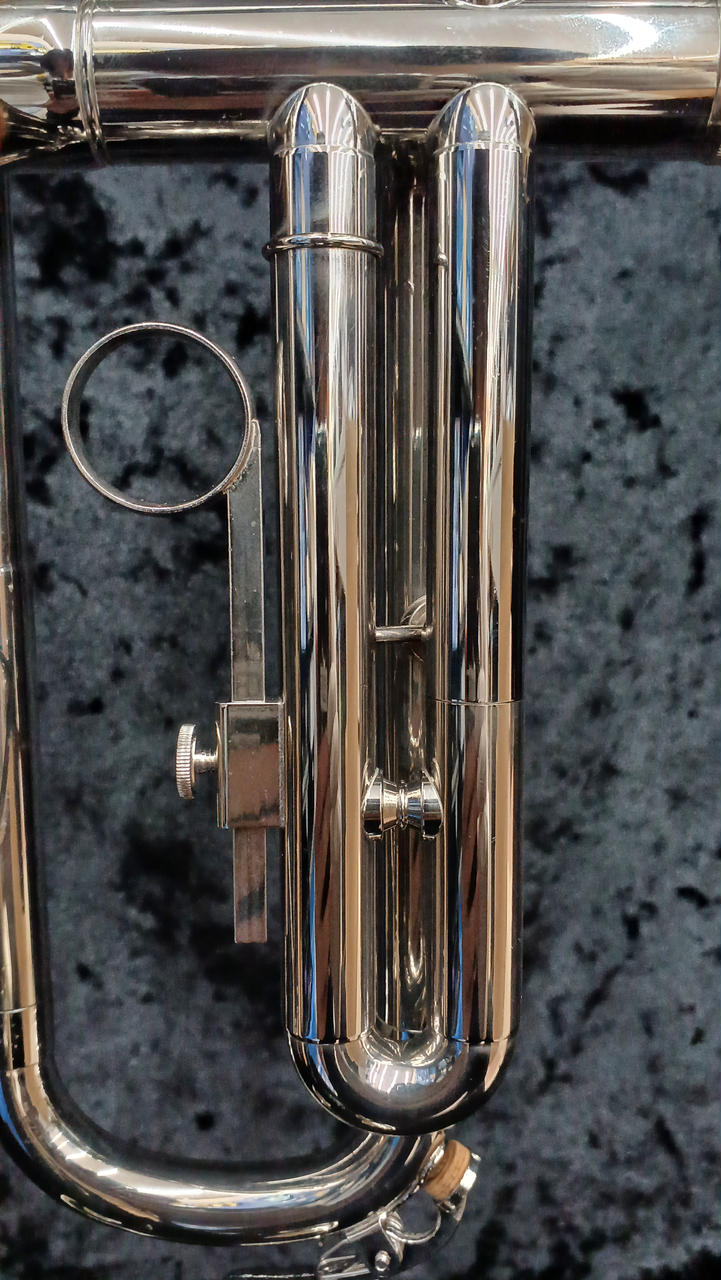 コルク交換済み