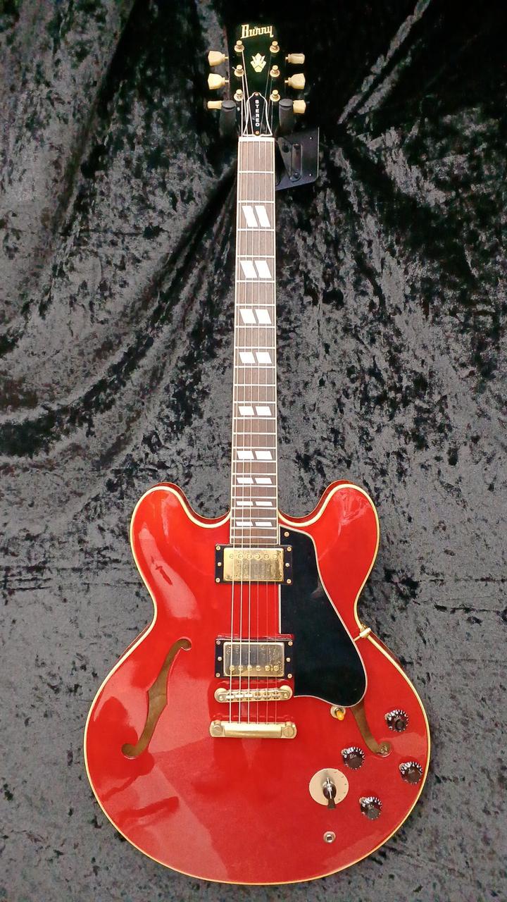 アッキー【ジャンク】BURNY バーニー ギター Amazon | Burny SRLG55 Vintage Cherry Sunburst レスポール