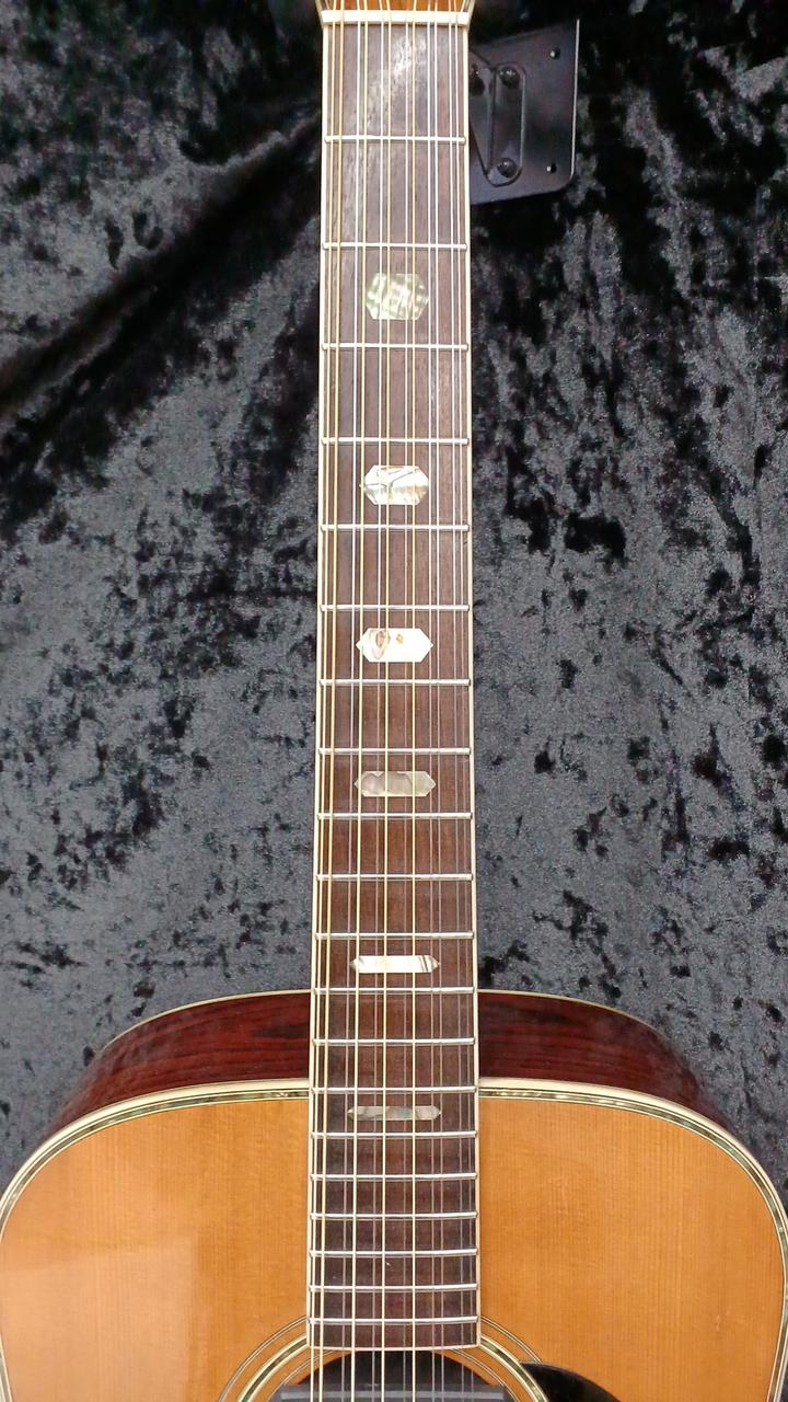 モーリス(MORRIS)|アコースティック|HARDOFFオフモール（オフモ