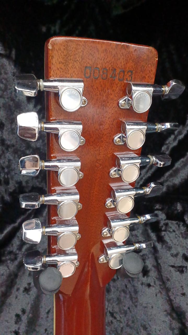 モーリス(MORRIS)|アコースティック|HARDOFFオフモール（オフモ