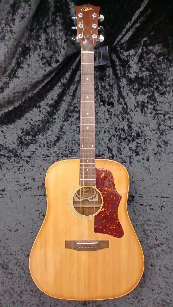 Aria ＆ co アコースティックギター　W-200 ARIA（楽器） Aria W-200 Acoustic Guitar アコースティック