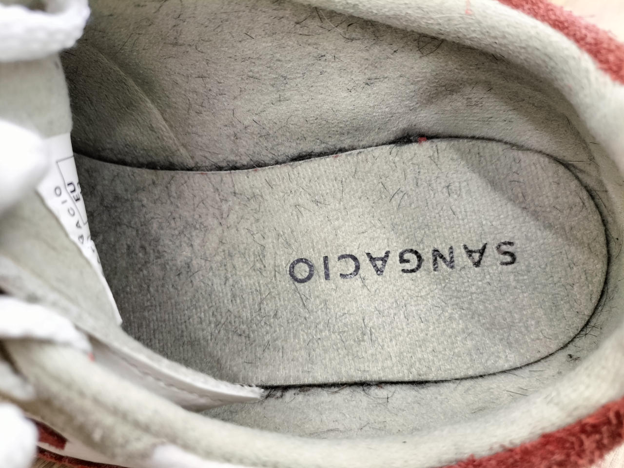 短い毛があります