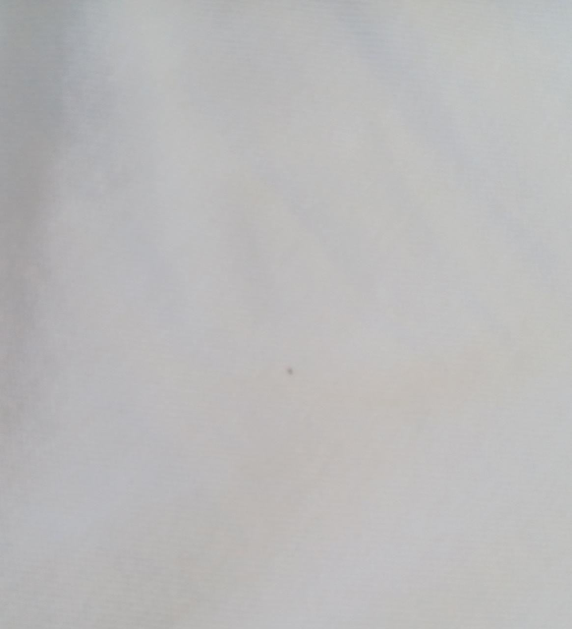 胸元下あたりにシミがございます
