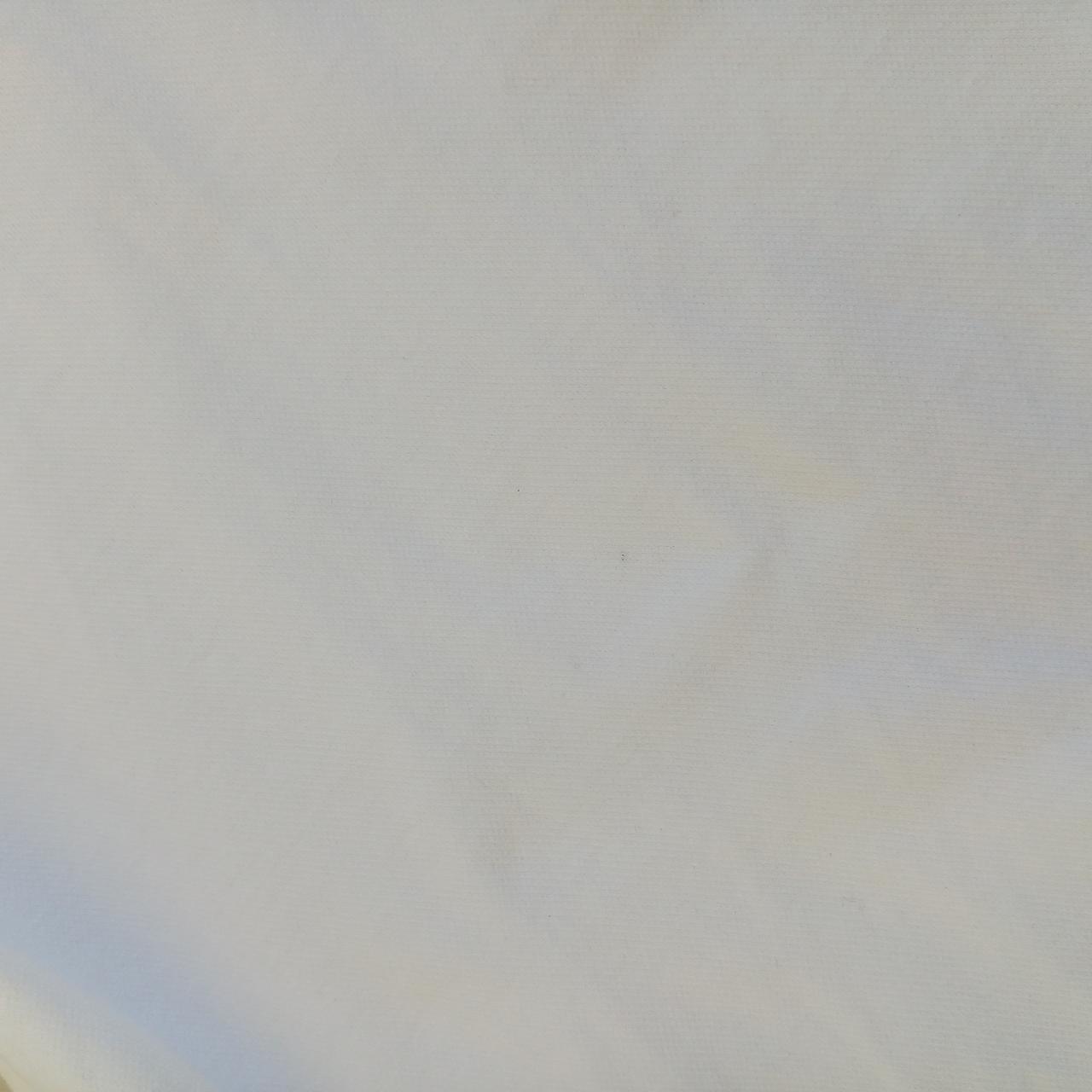 背中にシミがございます