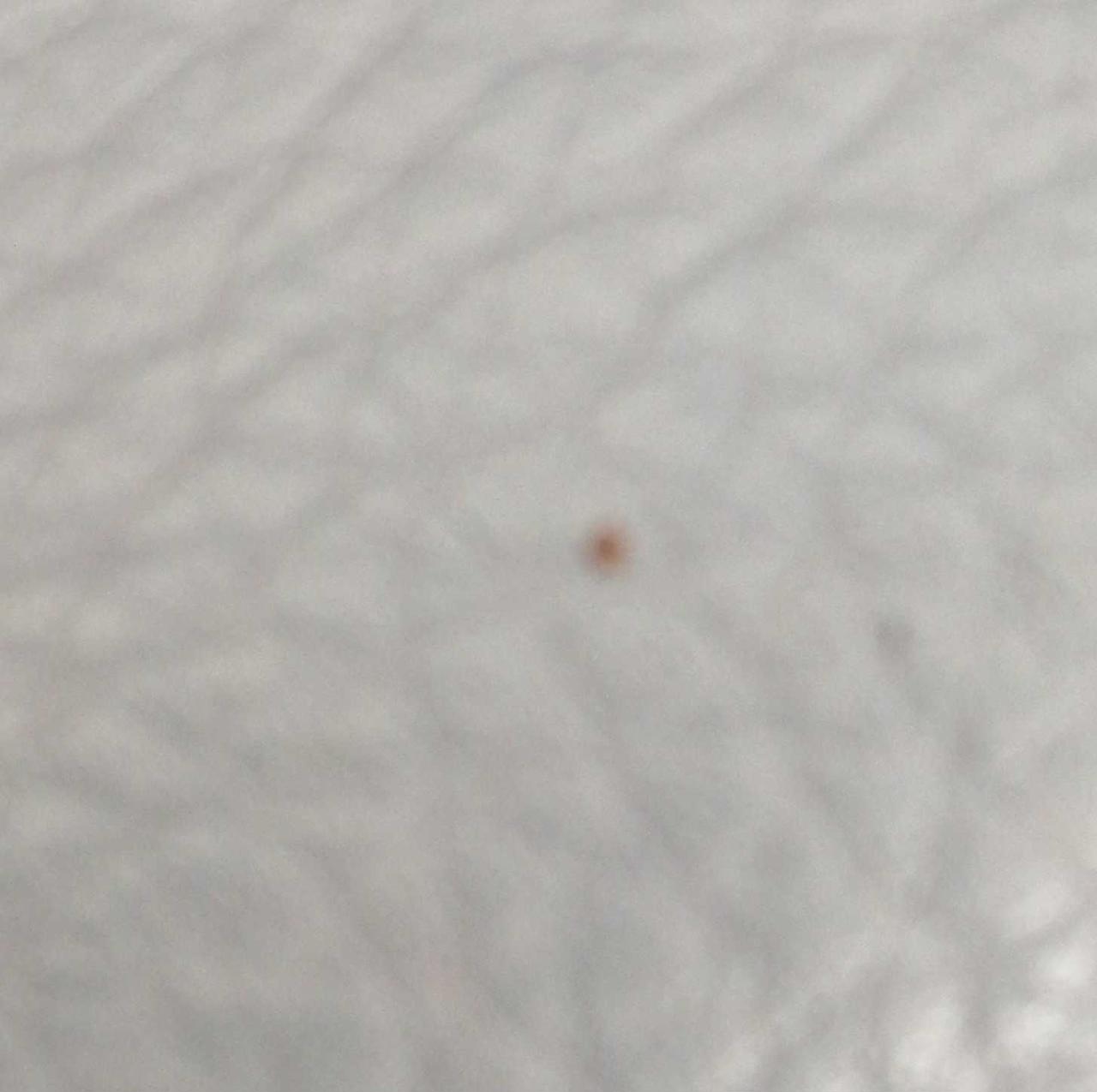 正面に汚れあり