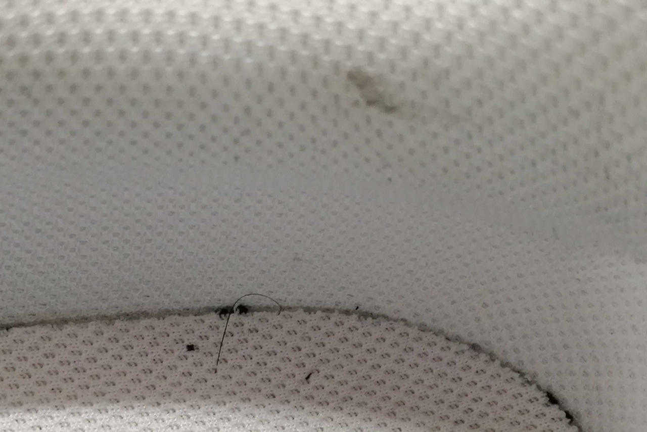 中身毛玉あります