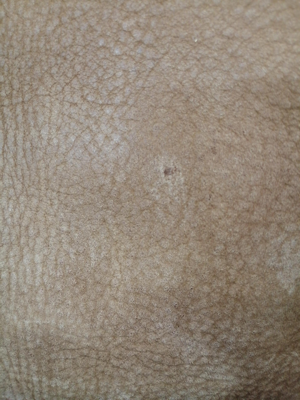 色あせあります