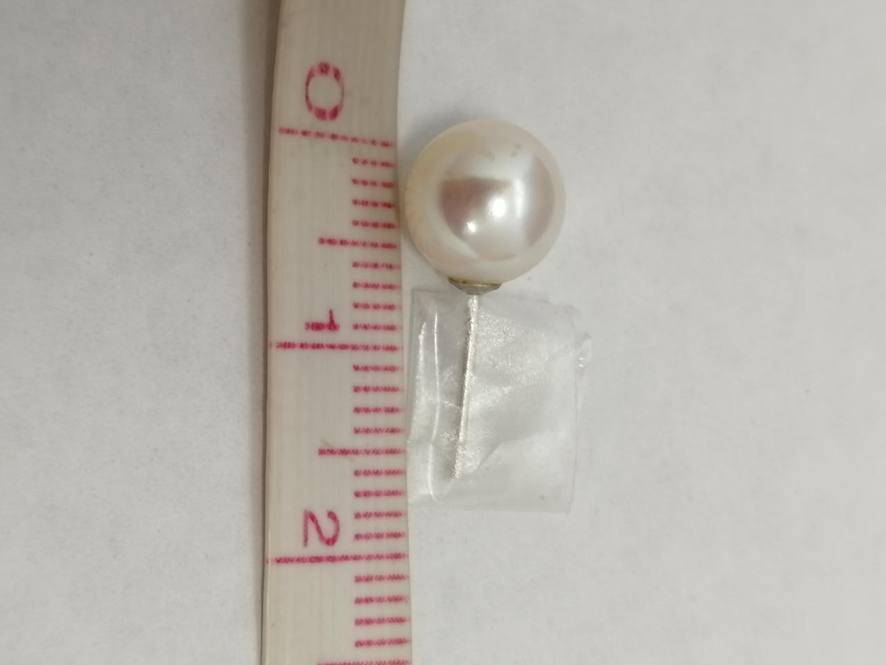 約1.5cm