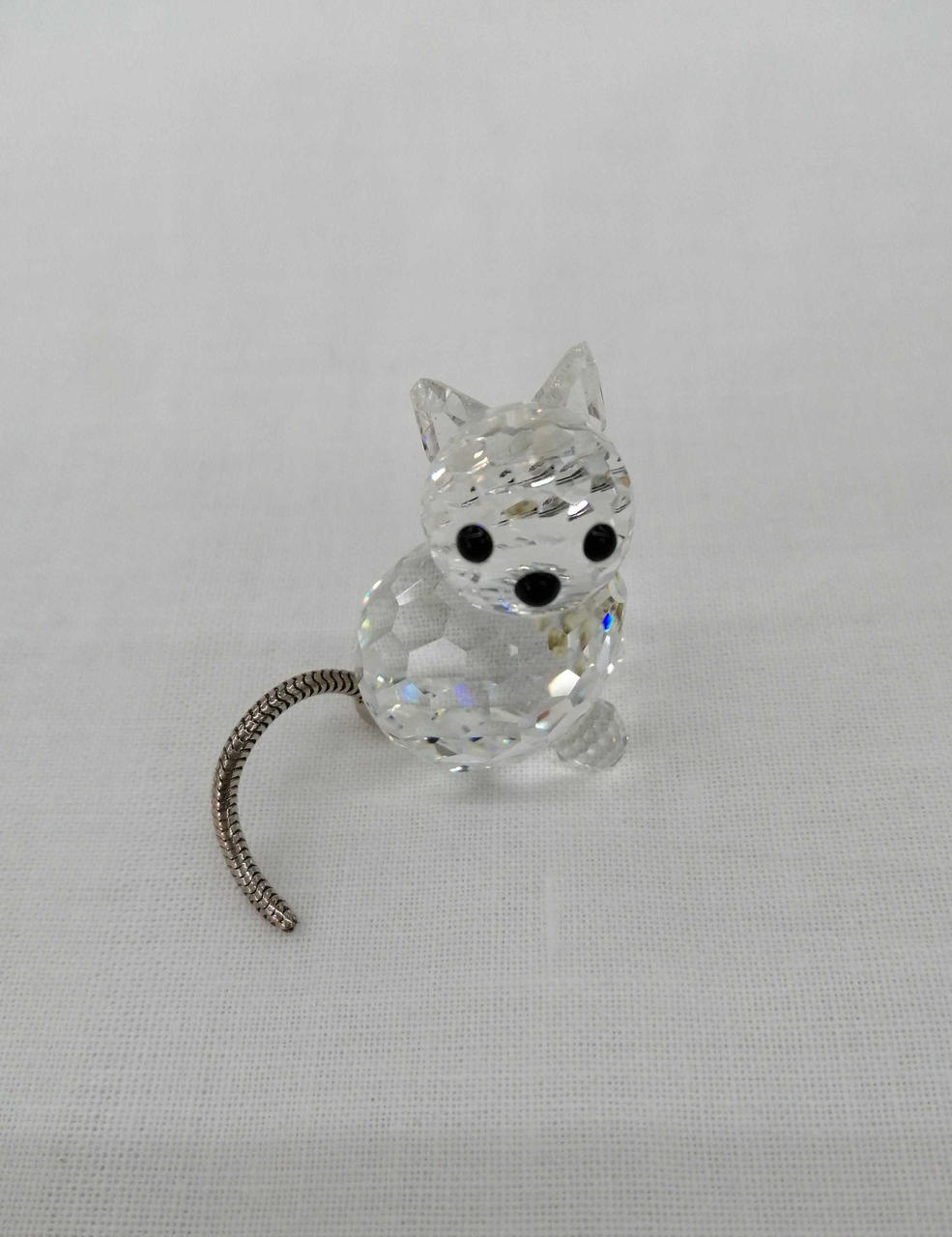 右側、耳、欠けあり