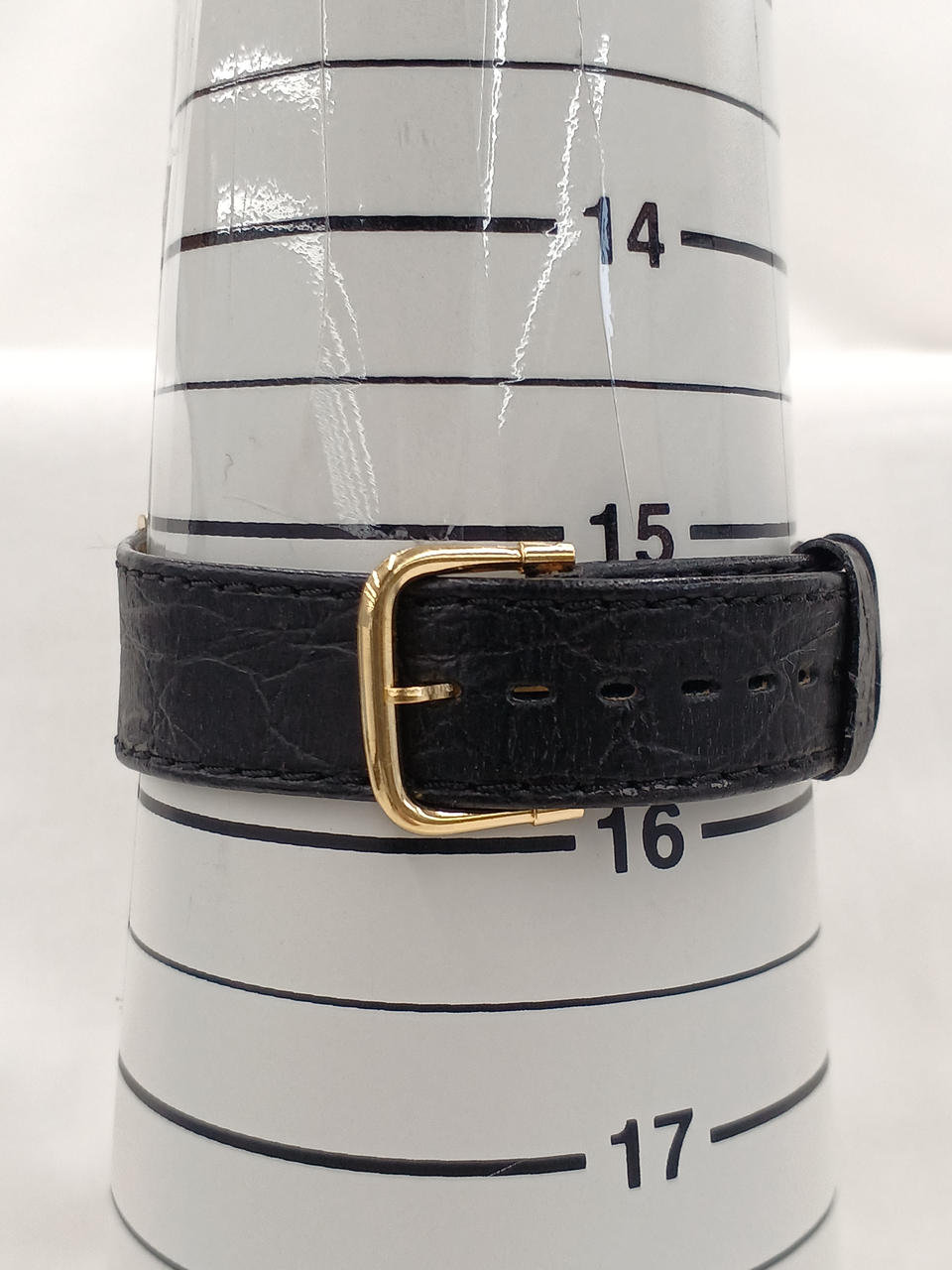 腕回り約15.5~19cm