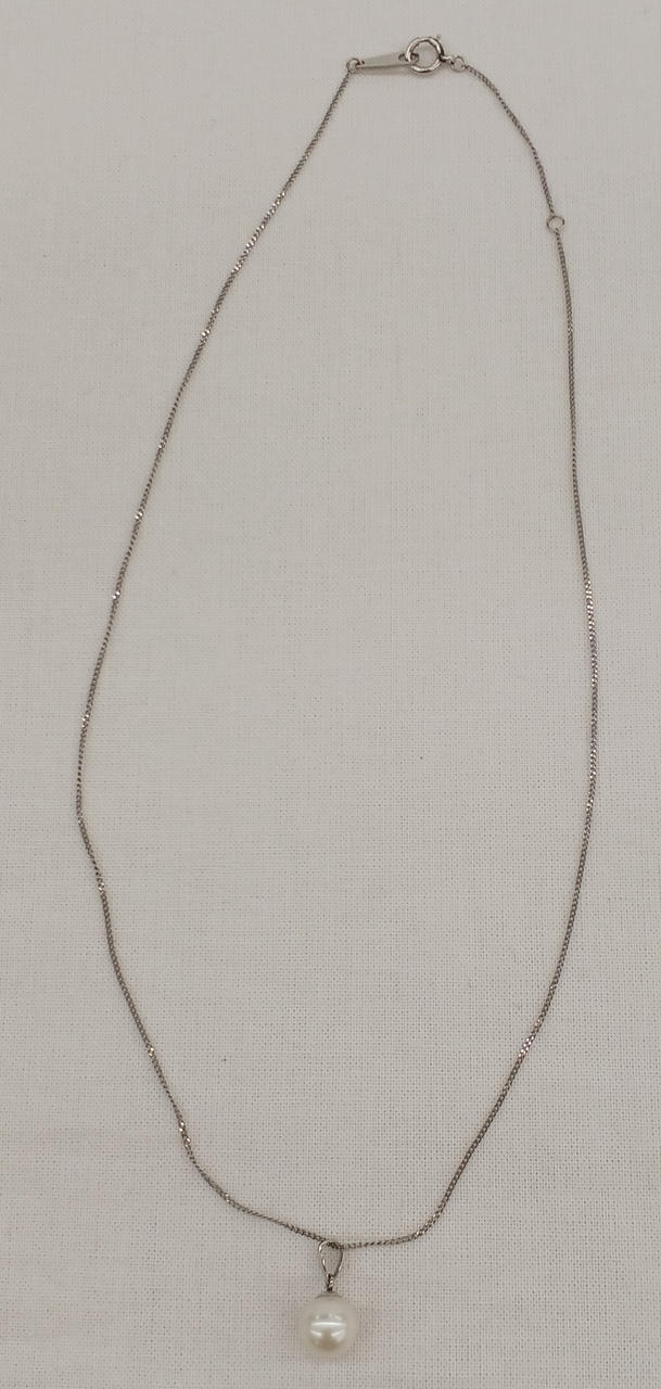 選択不可  PT850ネックレス