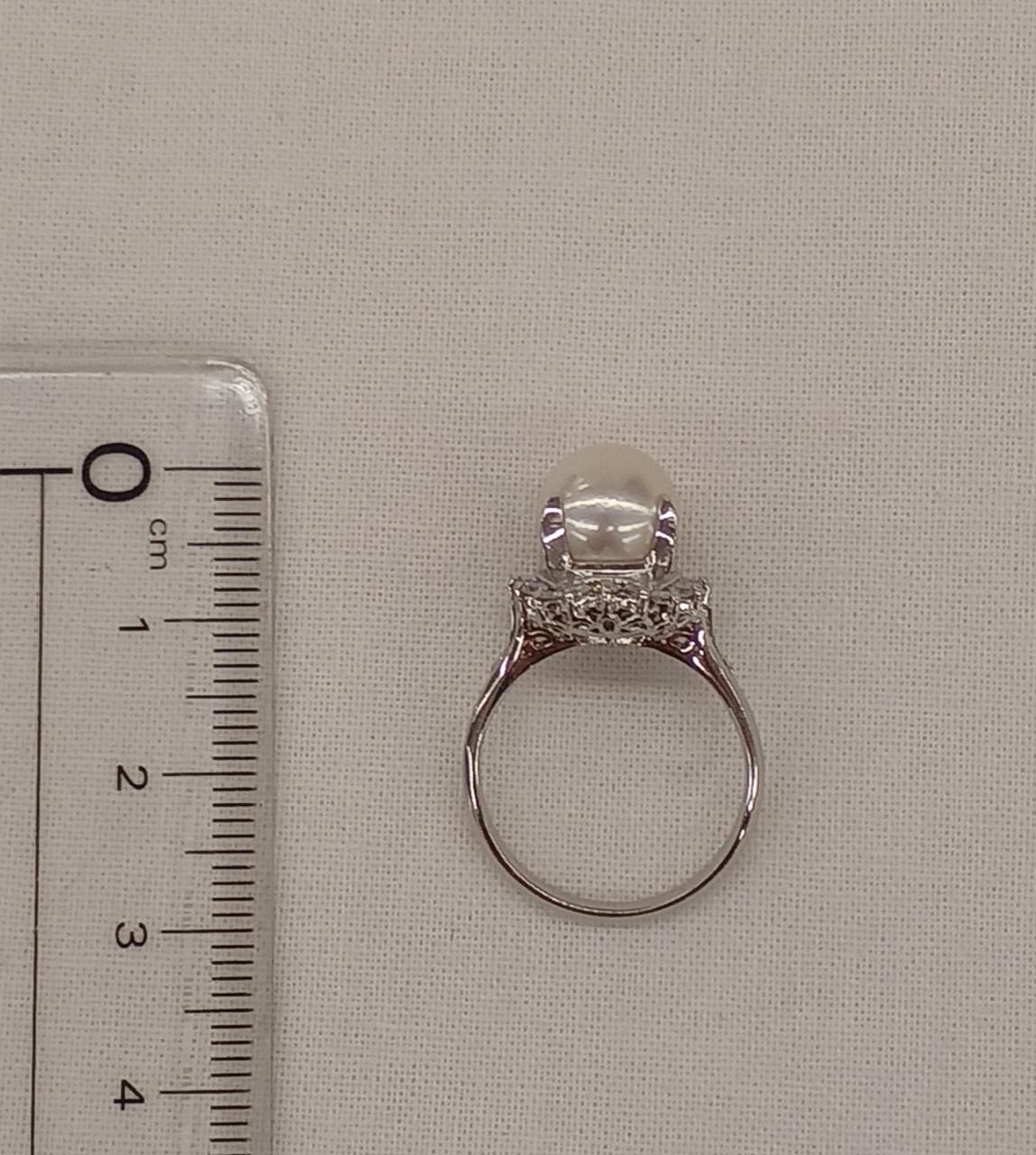 約3cm