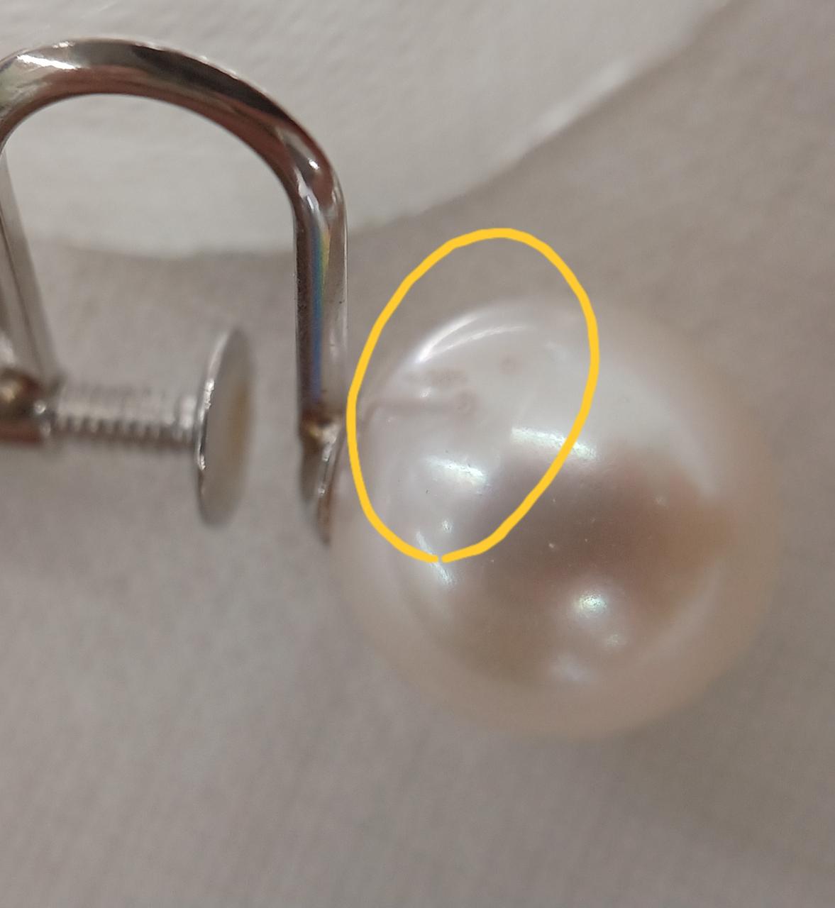剥がれのような箇所有り