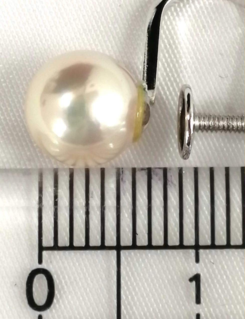 パール直径 約6㎜