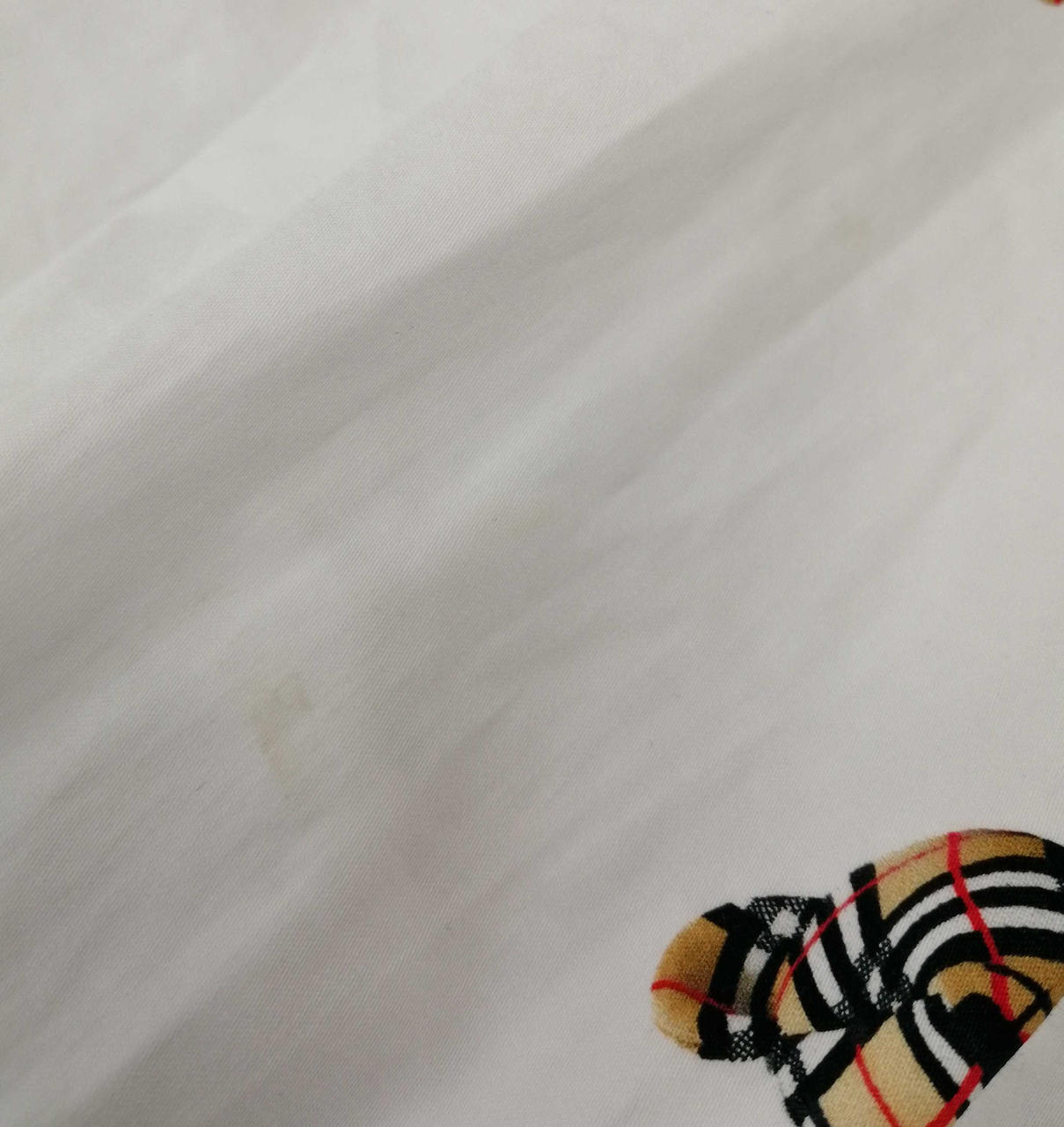 シミ部分拡大写真