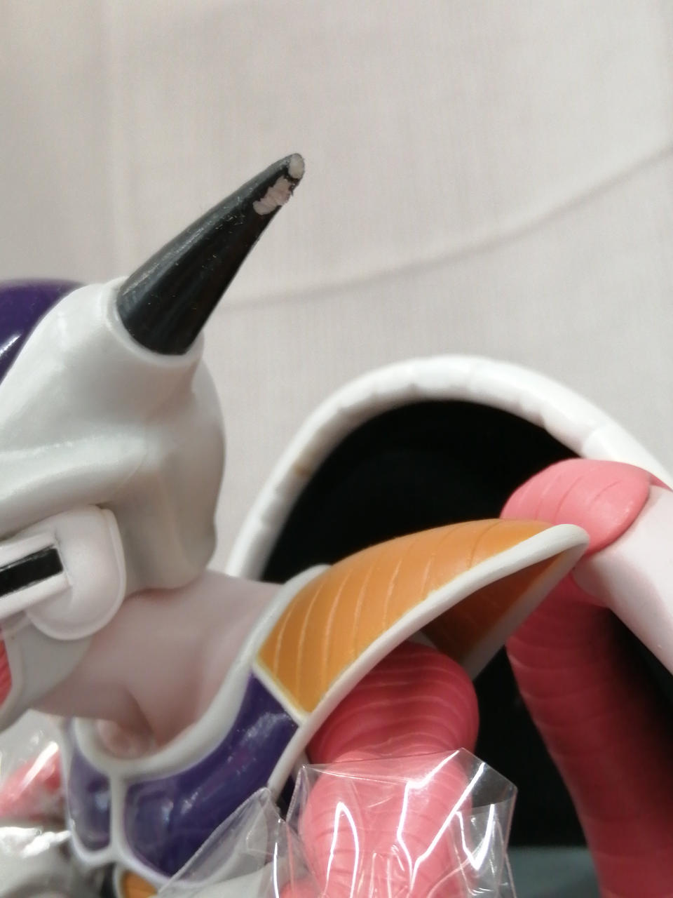 ツノに削れた跡があります。