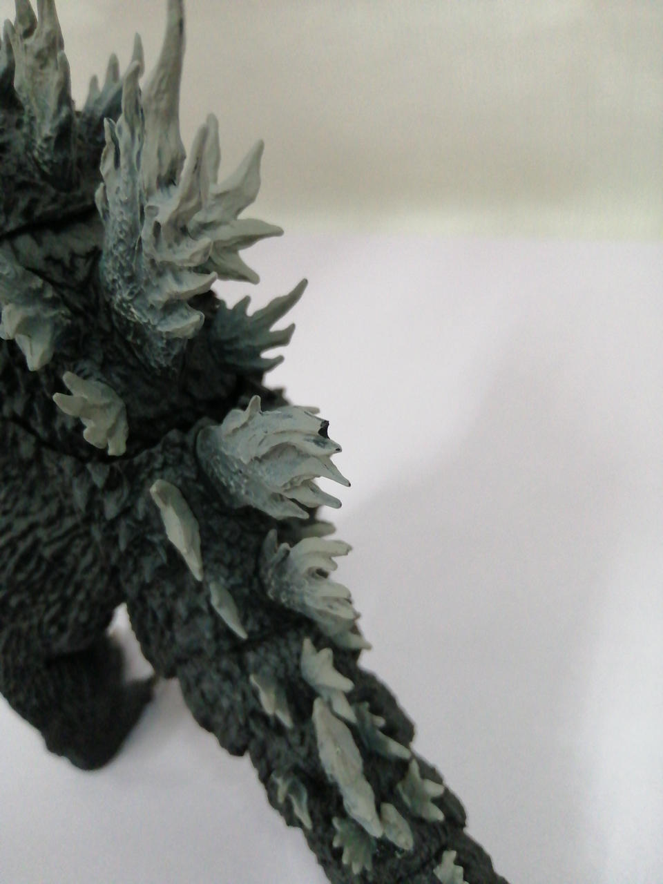 背びれに欠けあり