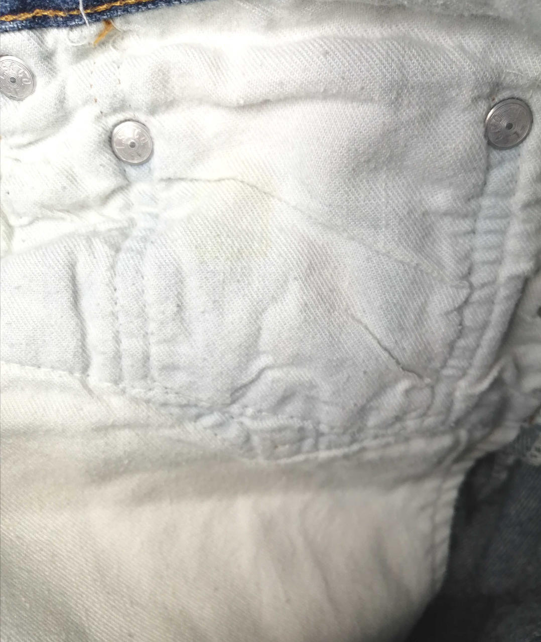 青い着色あり