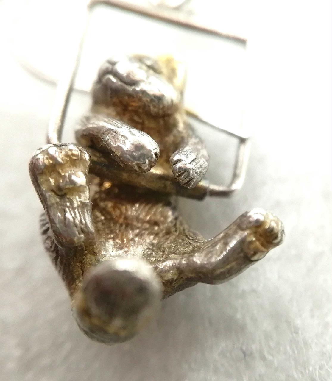 肉球もバッチリです🐾