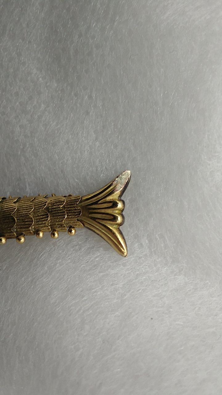 尻尾擦れ傷あり