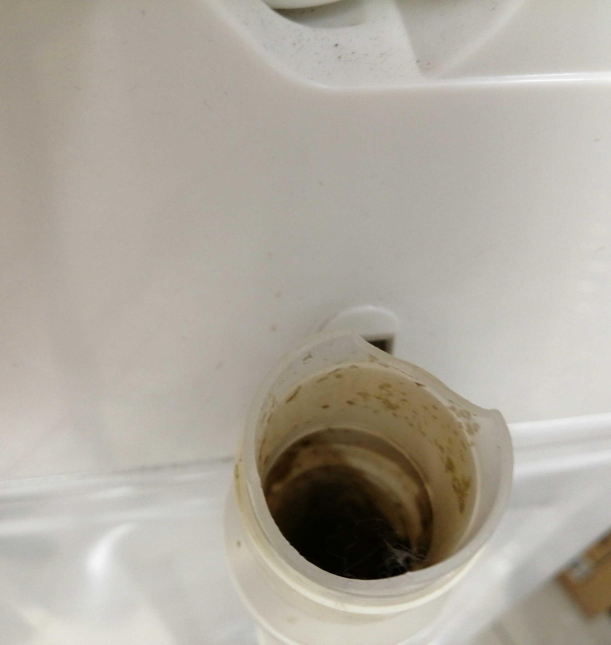 ホース内汚れ多