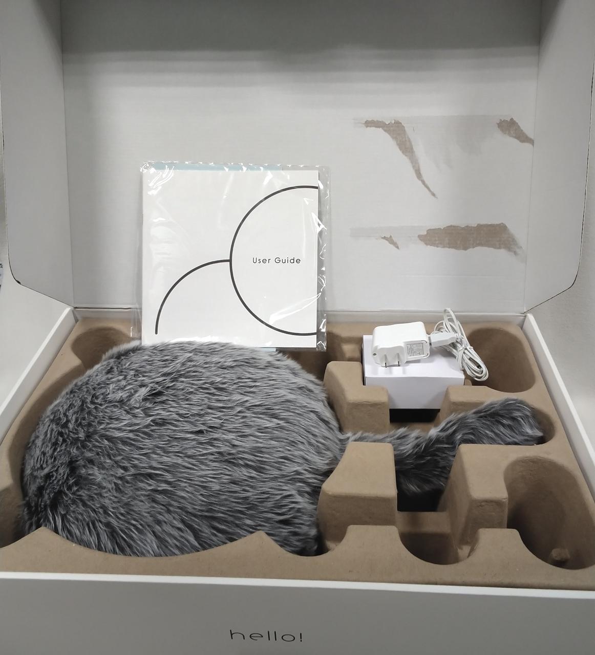 箱内側破れあり