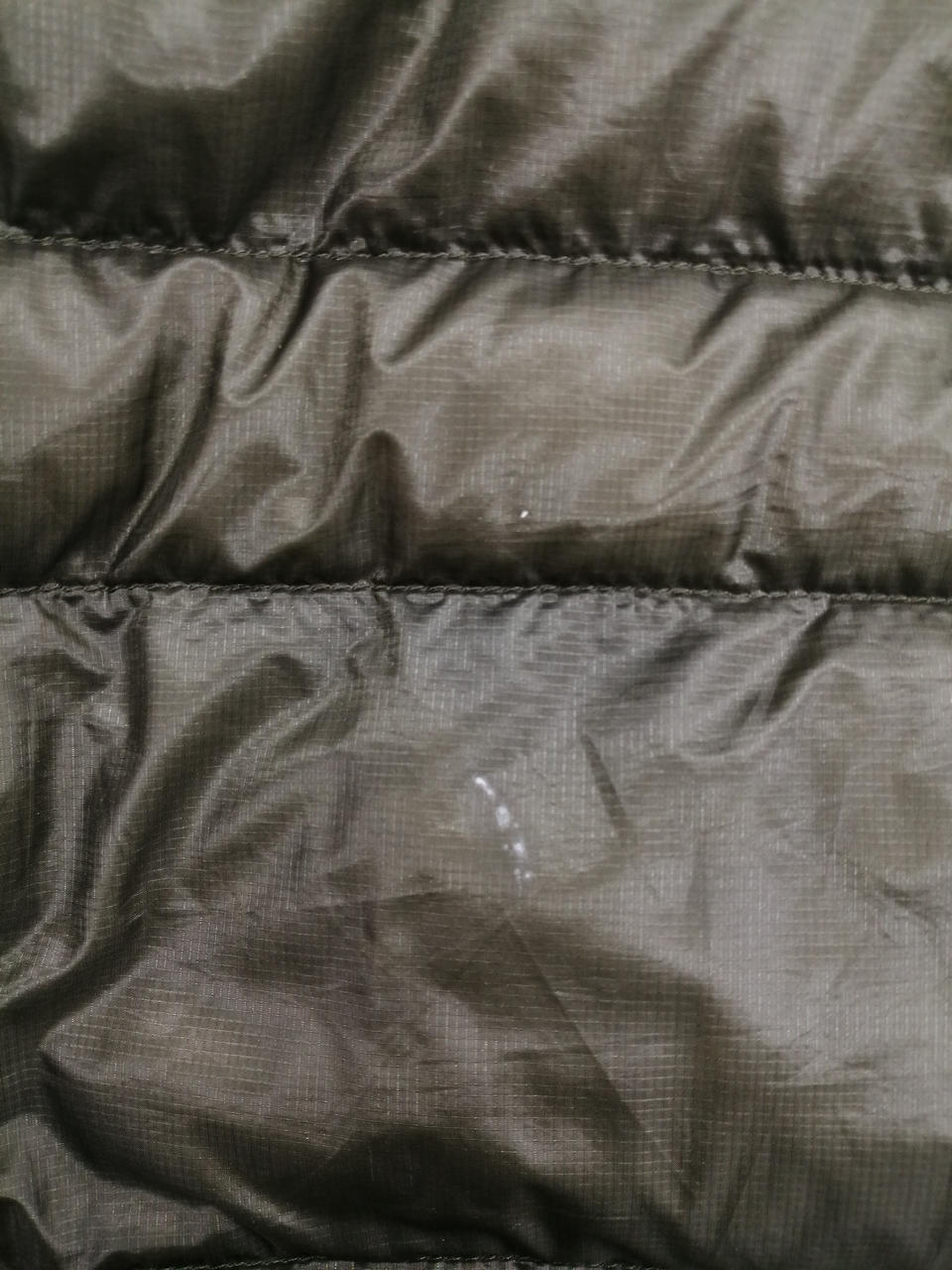 背中　シミあり