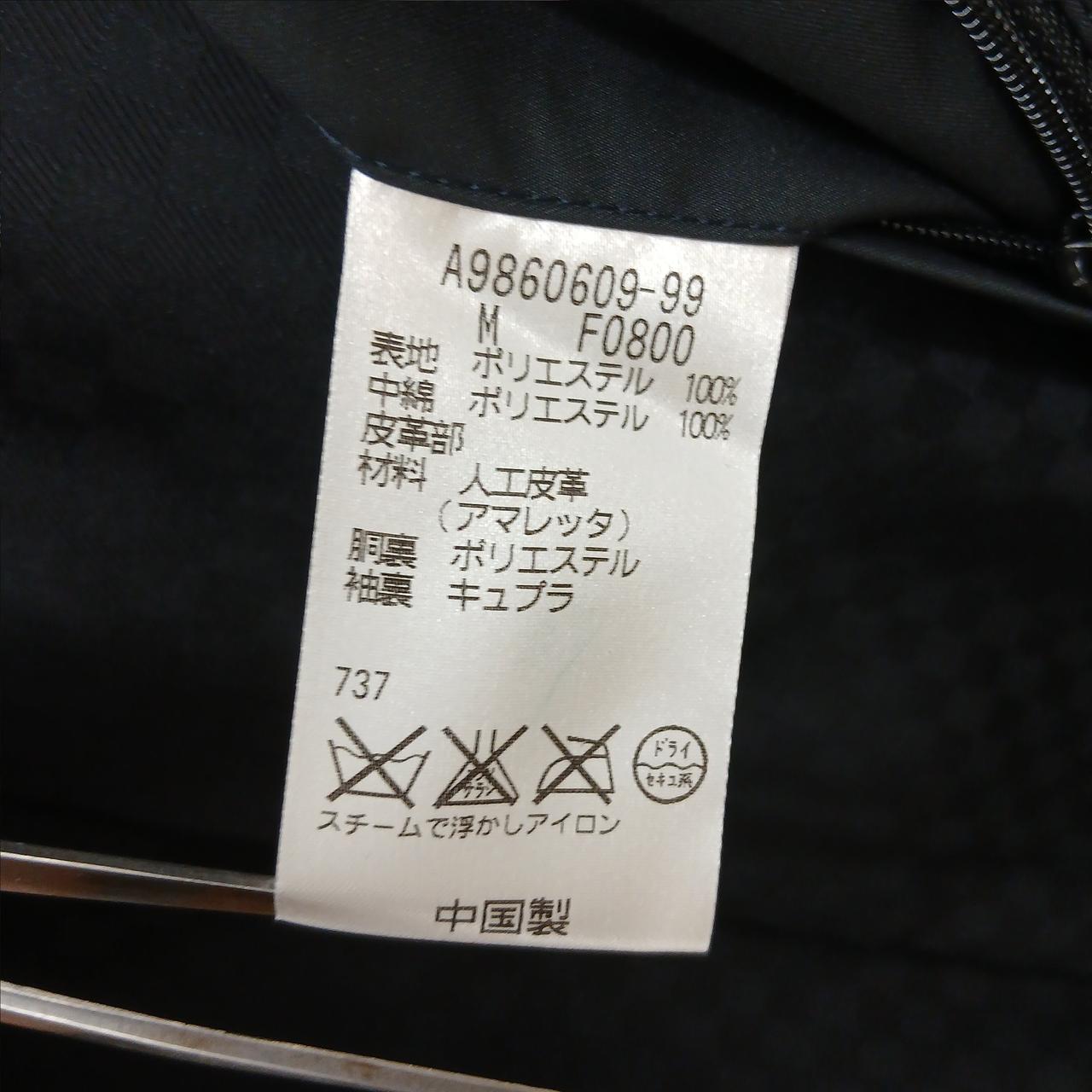 本体
