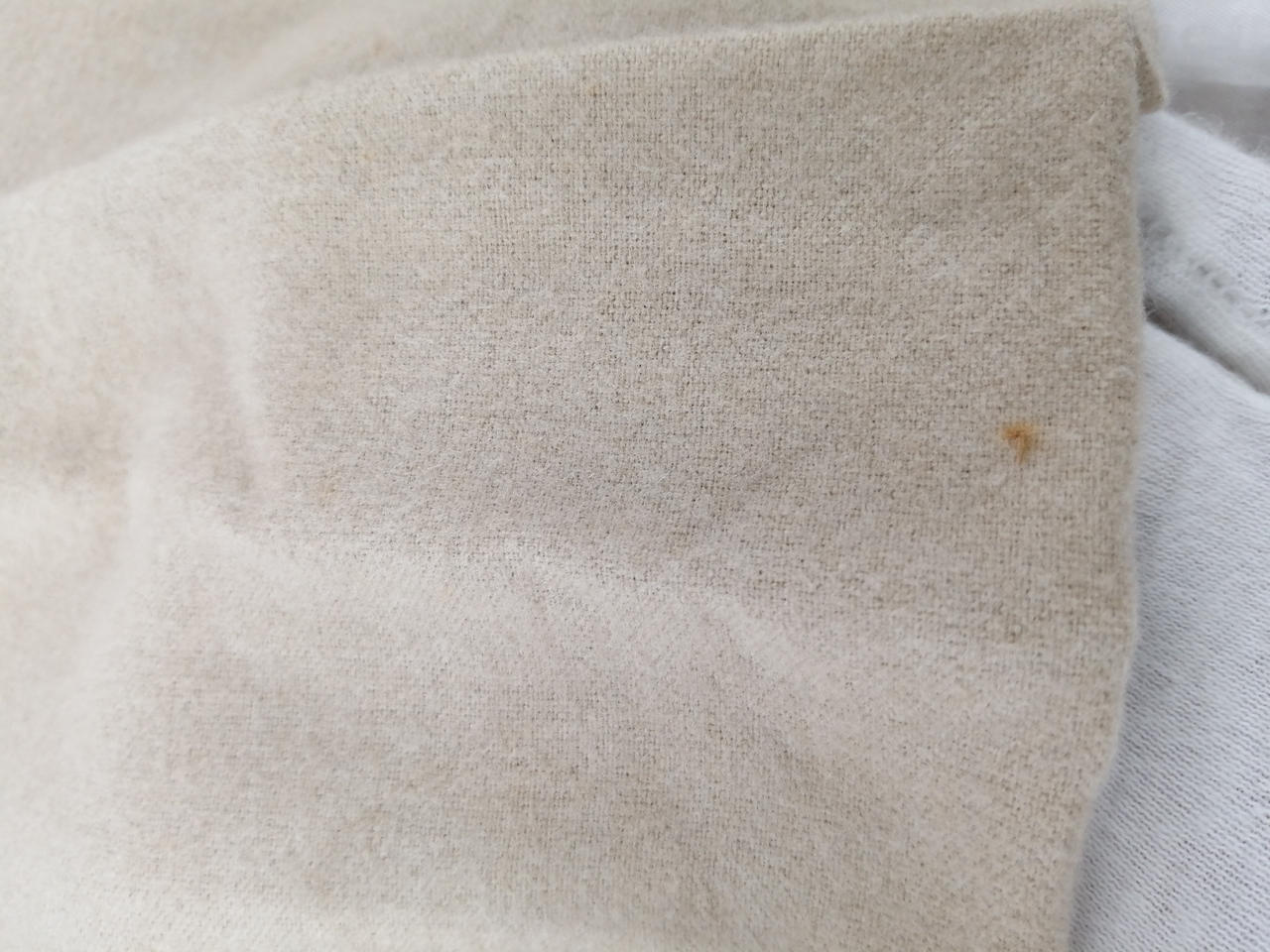 保護袋シミあり