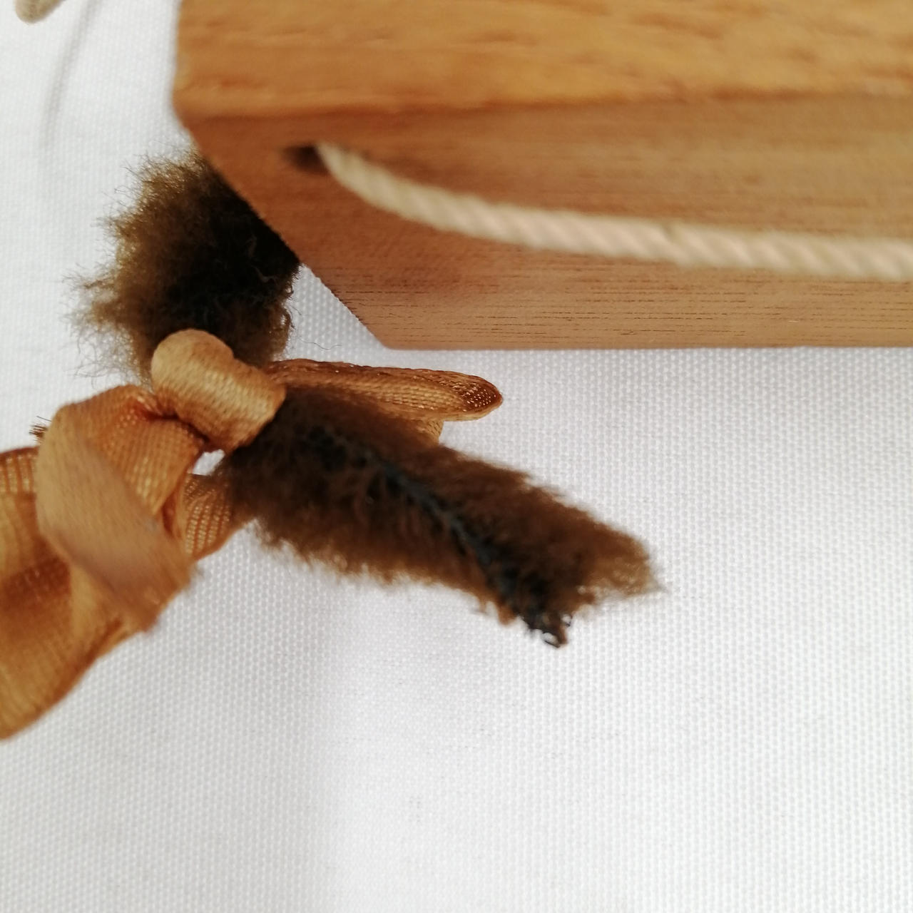 尻尾の毛が抜けてます。