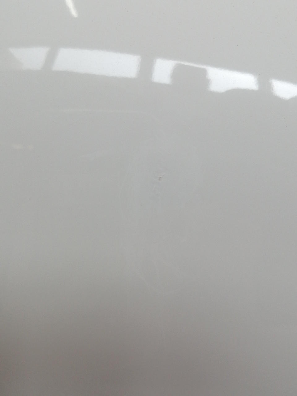 後頭部、細かな傷、あります