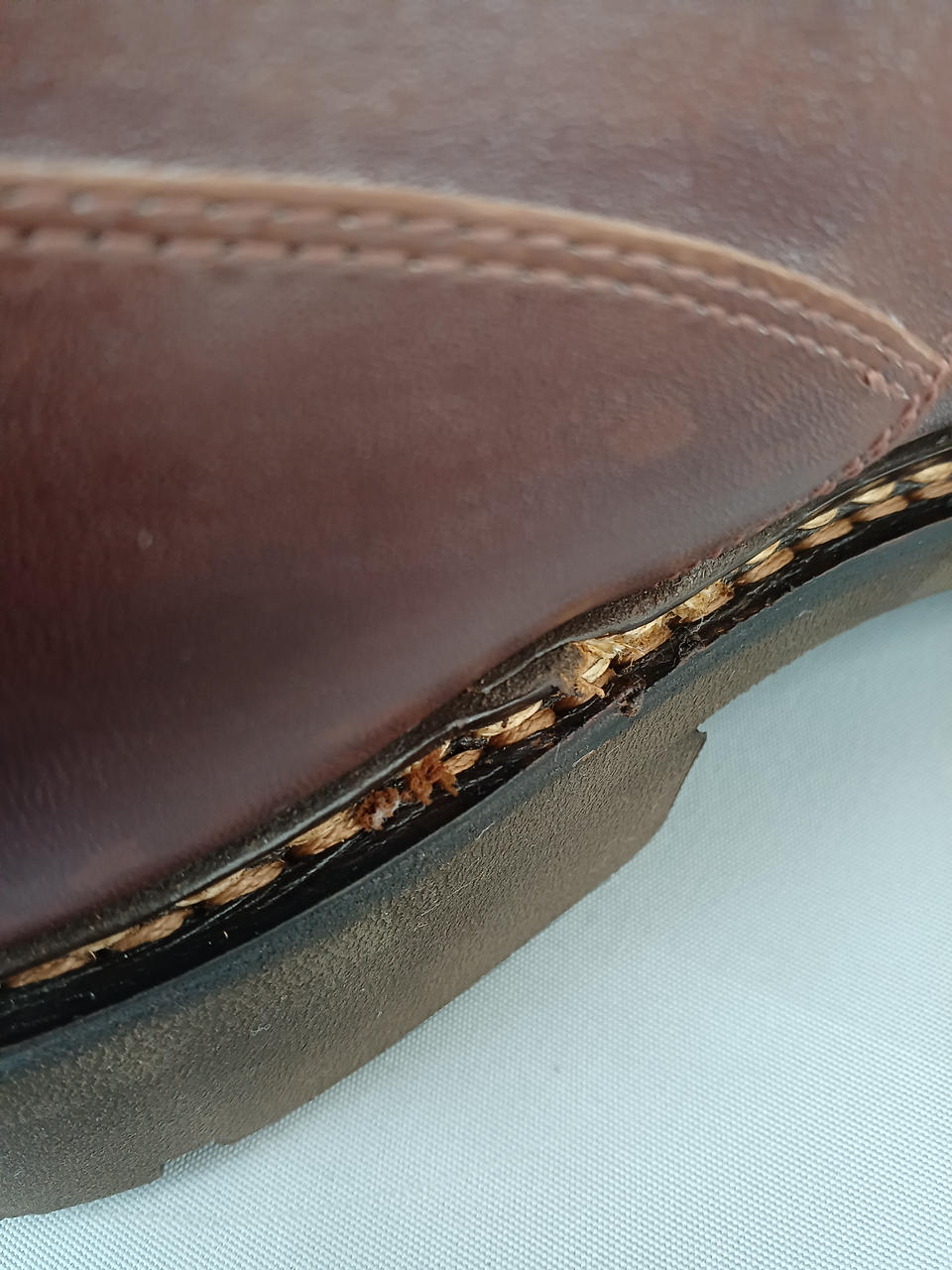 左足内側にキズあり