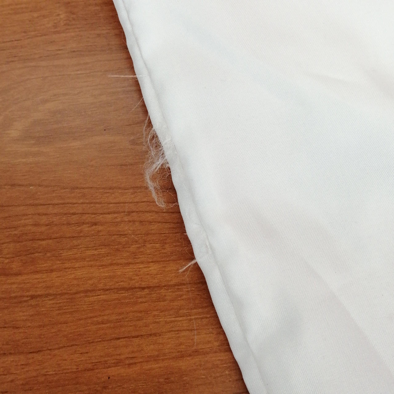 保護袋ほつれあり