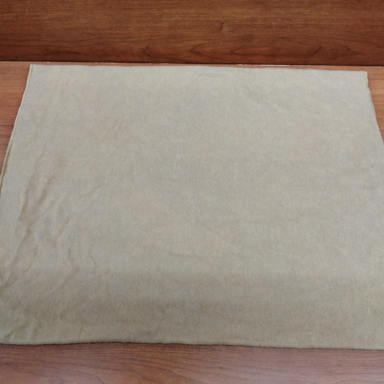 シミ有り