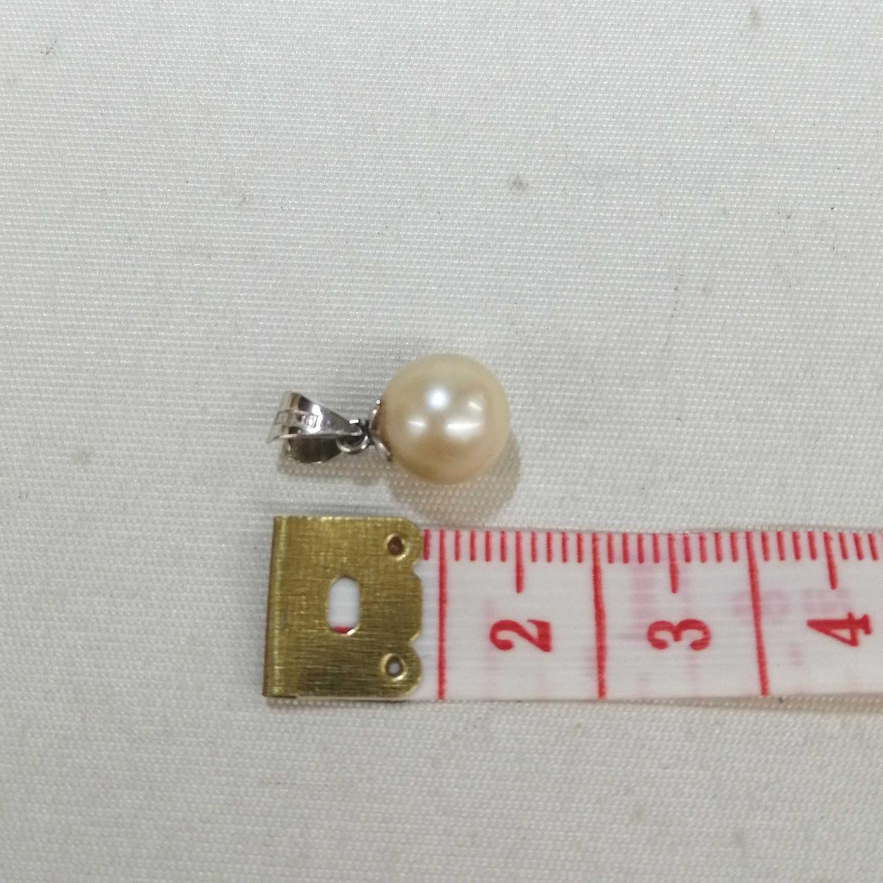 約1.5cm