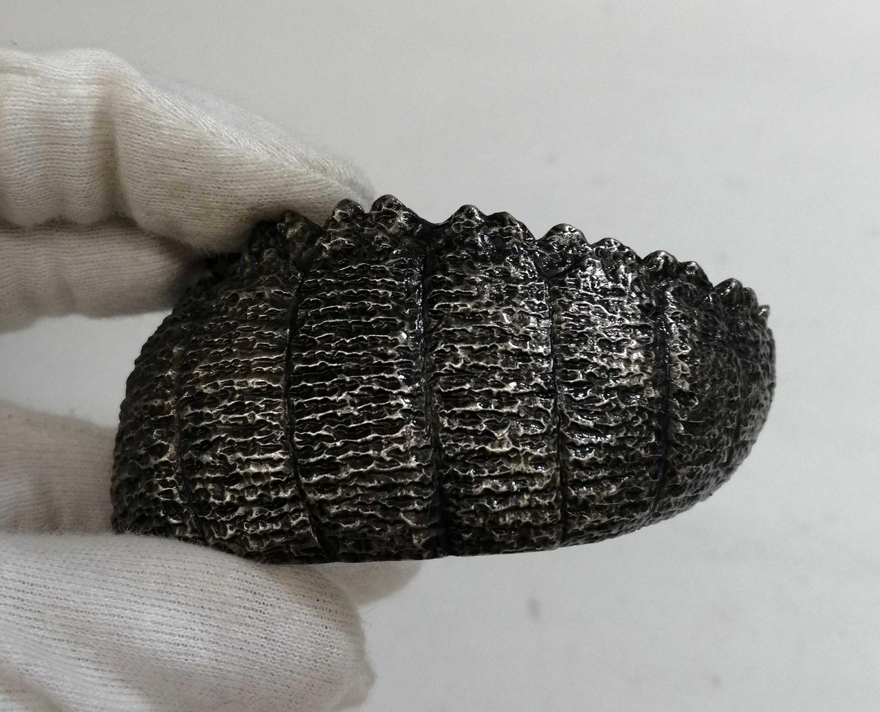 プレミアムバンダイ|ゴジラ バングル|HARDOFFオフモール（オフモ