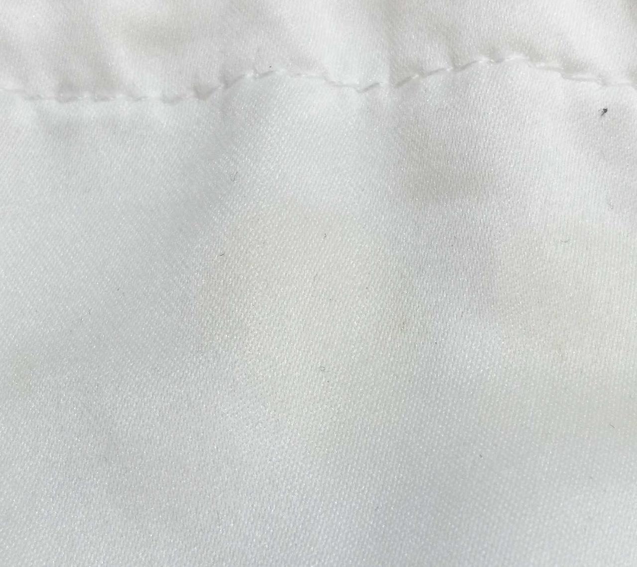 保護袋　全体的にシミあります