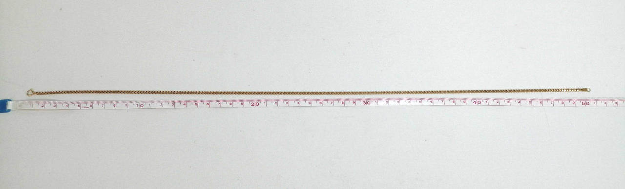 長さ　約50cm