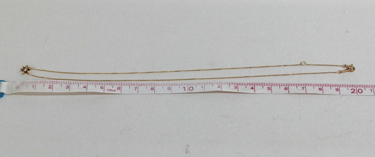 長さ約20cm