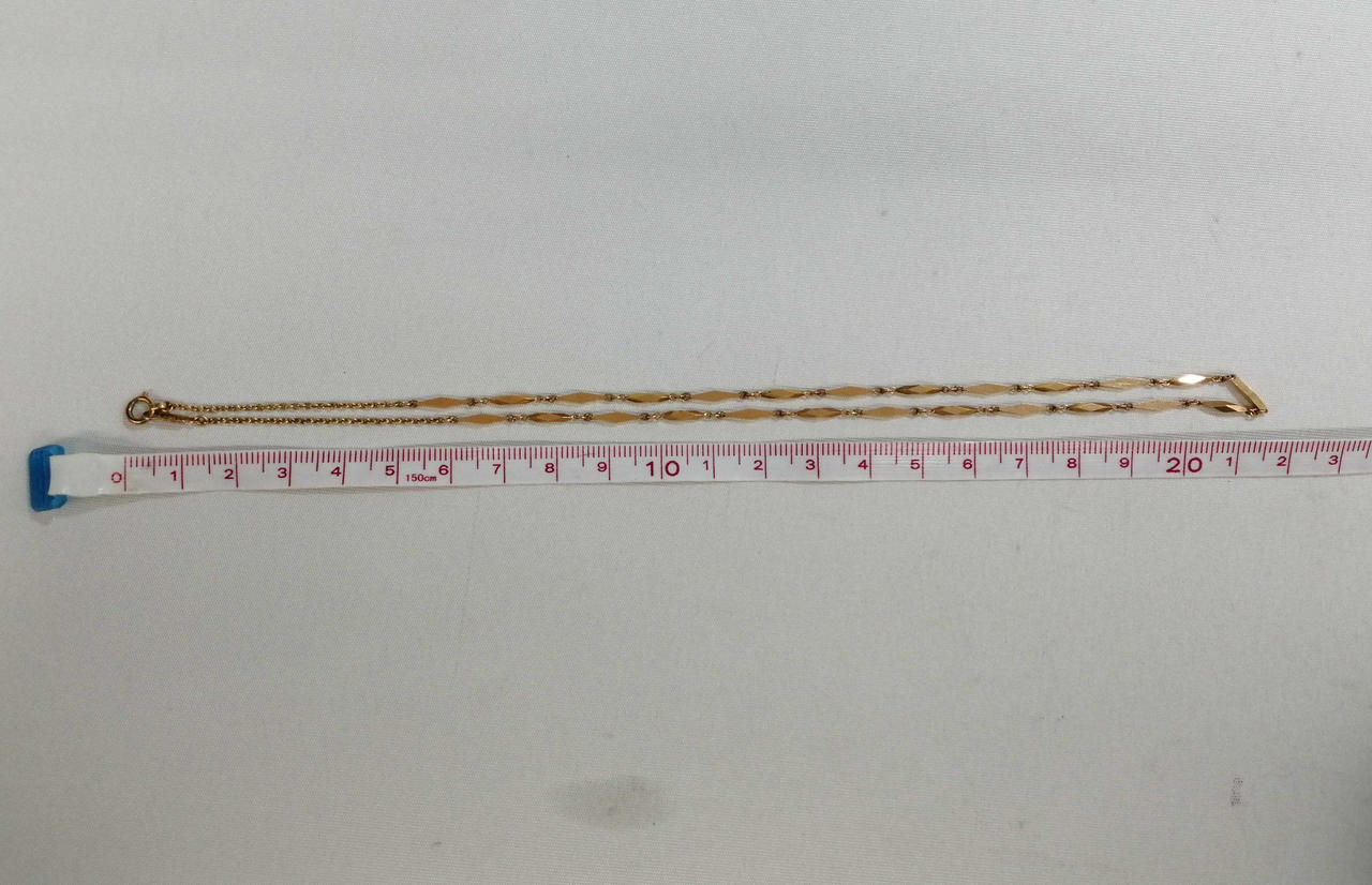 約21cm