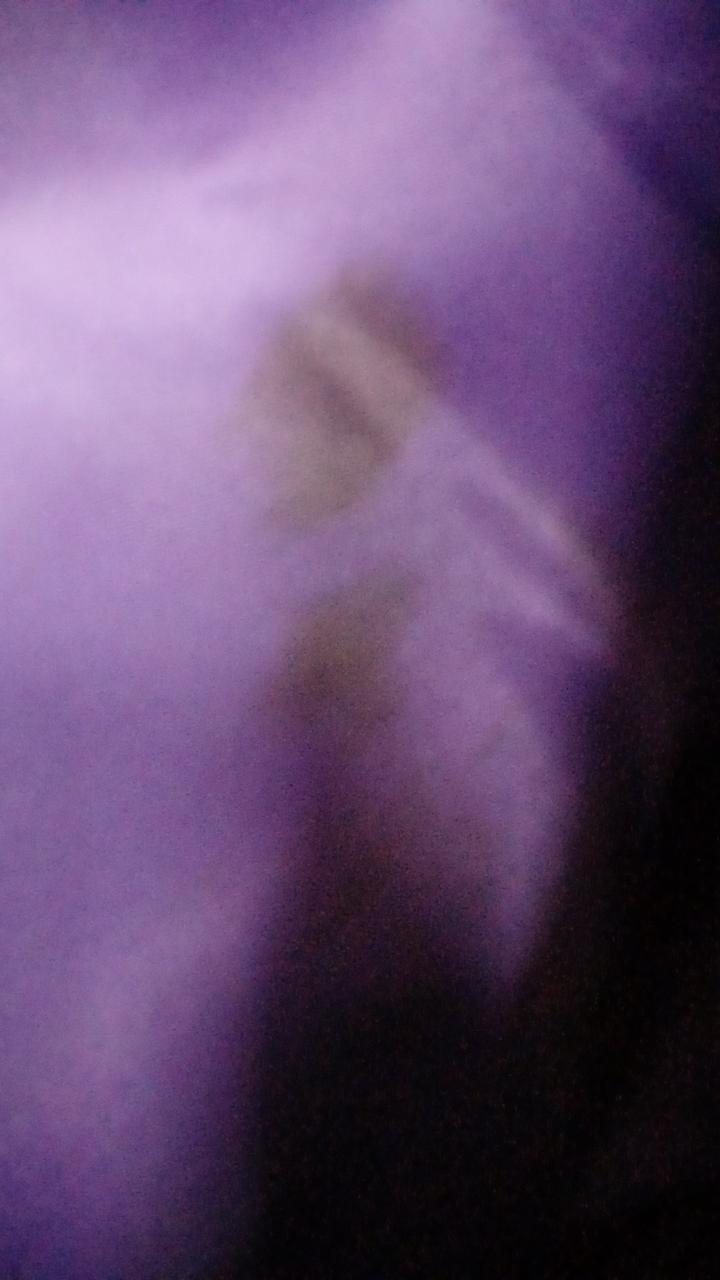 内側にシミあり