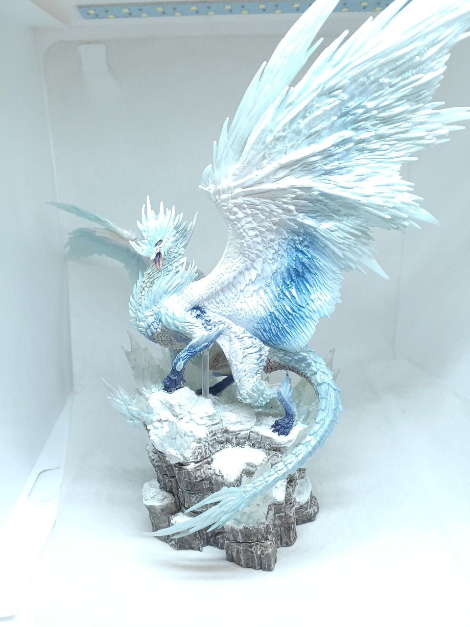 箱無しでのお取り扱いとなります